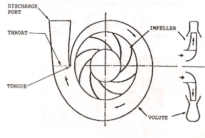 Casing, impeller of centrifugal pump, wear ring