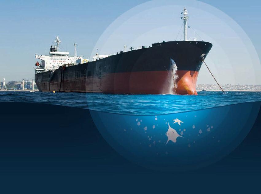 Ballast Water