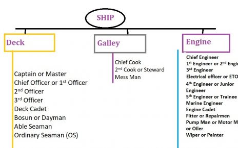 Ranks in Merchant Navy