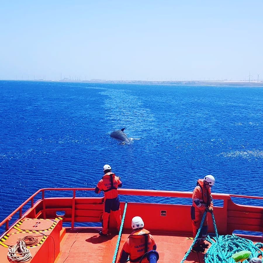 Seafarers At Sea