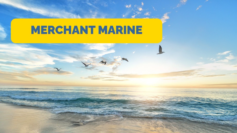 merchant marine, merchant mariner credential application, Transportation Worker Identification Credential Card